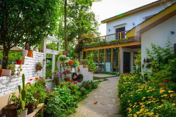 秋冬季節要為花草越冬做好準備了，16條越冬技巧，為它們保駕護航