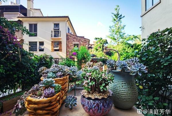 有這4個特點的院子,不拿來養花,簡直就是浪費 有這4個特點的院子,不拿來養花,簡直就是浪費