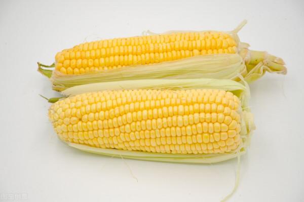 減肥不吃主食，小心易胖體質光顧你！5種主食刷低體脂率