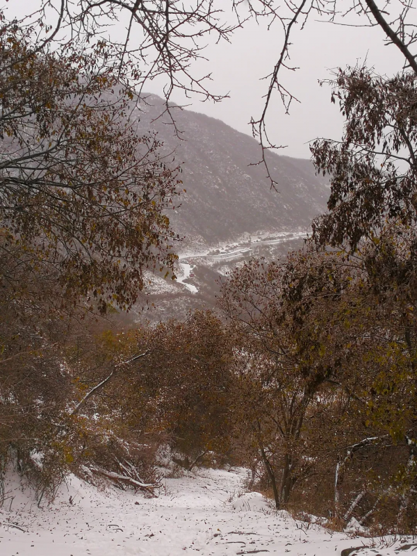 門城一夜雪，萬山披銀裝！