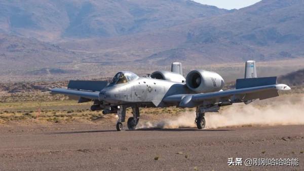 令人左右為難的“疣豬”終於活了下來 令人左右為難的“疣豬”終於活了下來