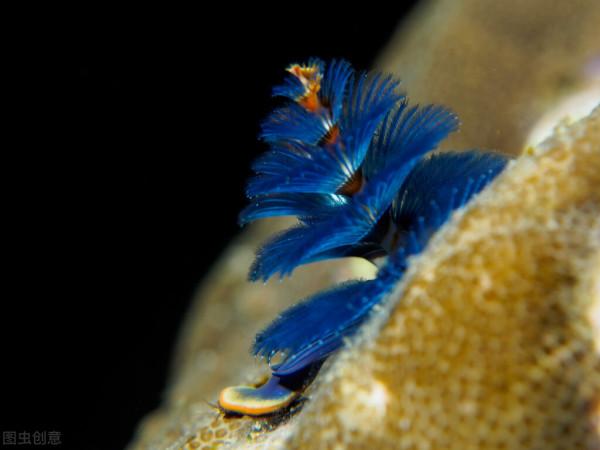 讓孩子從另一個視角瞭解這個世界，培養孩子的良好性格