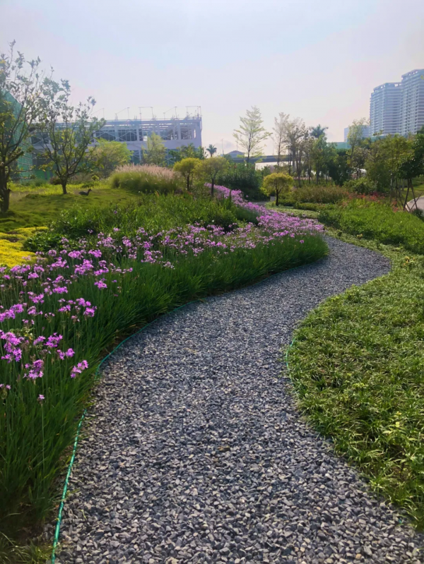 學會搭配這8種園藝植物，讓你的花園收穫一個有趣的靈魂