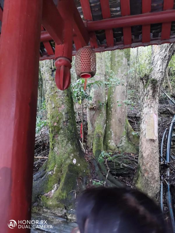 苗寨景區旅遊,看上價值2500元的銀碗值得買嗎?有沒有收藏價值? 苗寨景區旅遊,看上價值2500元的銀碗值得買嗎?有沒有收藏價值?