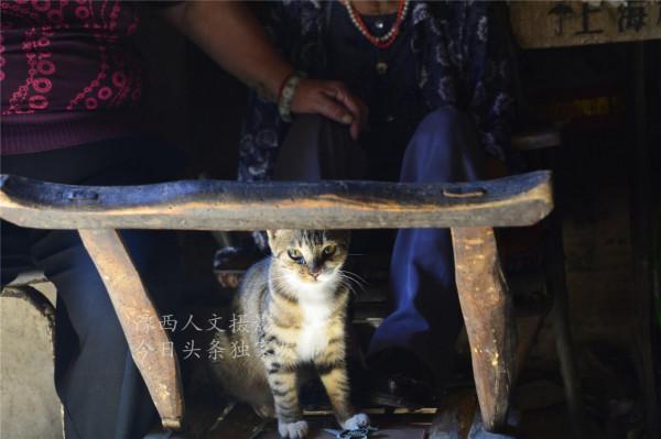 105歲老壽星習慣有點怪，愛吃糖、半夜吃零食、喝開口一天的啤酒