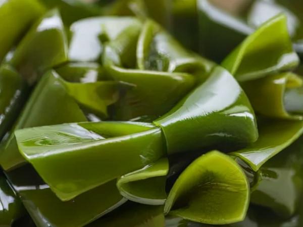 每逢佳節胖三斤？尚堯教你節後這麼吃，減脂不失美味