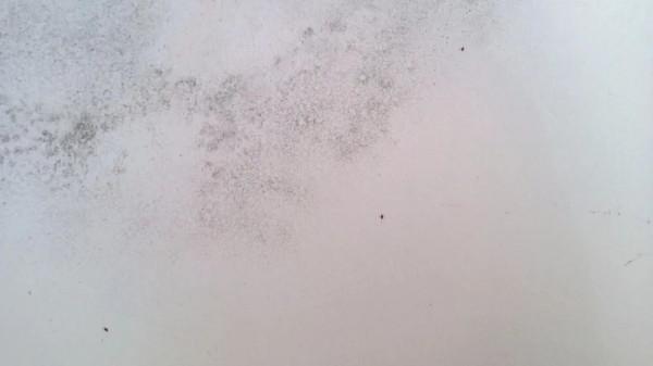 這一篇施工乾貨請及時收好，牆面問題得到及時解決，不用踩坑了