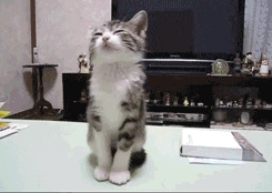 都說四神湯健脾養胃，為什麼我吃了便秘？