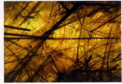 寶知道｜寶石原來也有“指紋”