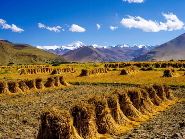 神奇的布達拉宮，廁所350年不用清理，不僅乾淨還有大用