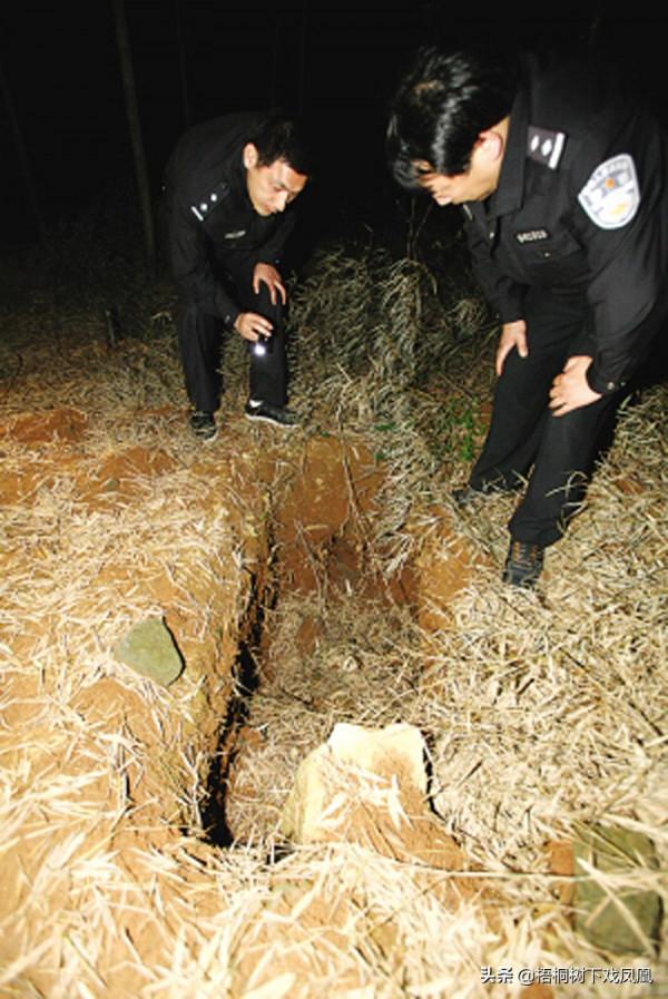 盜洞打得既準又深，考古隊發掘時跟著洞口走，取得重大考古發現