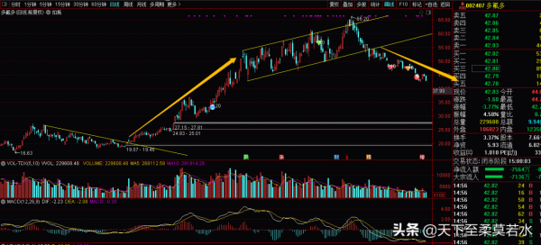 鋰電池板塊，到底是夕陽末路，還是老驥伏櫪，十大人氣股現狀點評
