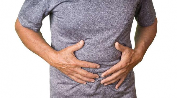 身體4大器官，喜好各不相同！想保養它們，先了解這些知識