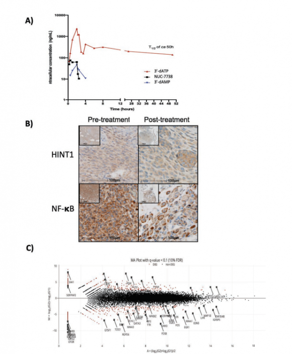 研究:喜馬拉雅山真菌化合物經改良後可提供40倍的抗癌效力 研究:喜馬拉雅山真菌化合物經改良後可提供40倍的抗癌效力