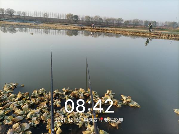 冬季魚類的致命誘惑，更換後果然立竿見影