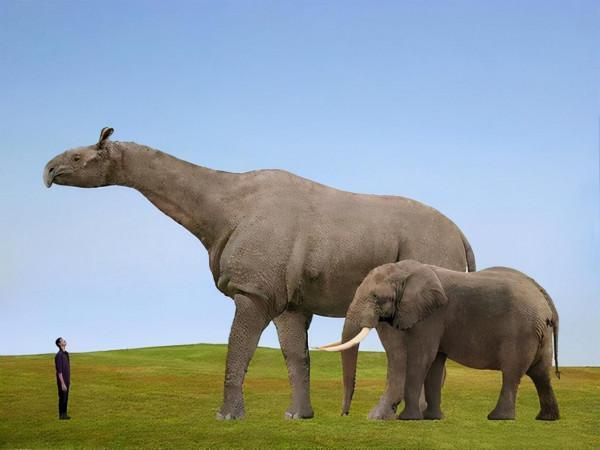 冷知識:原來人一生拉的便便可以這麼重 冷知識:原來人一生拉的便便可以這麼重