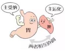 為什麼你想減肥，卻減不下來？