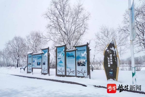 句容赤山湖，漫天飛雪若夢境