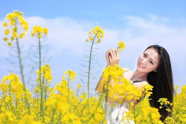 ﹤我喜歡看油菜花&gt&semi;