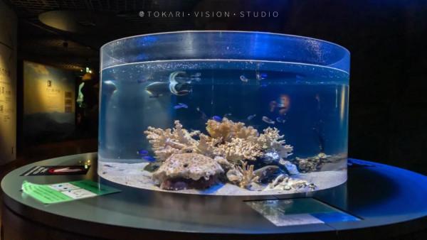 逛逛日本 &vert; 冬遊紀行 樂在九州