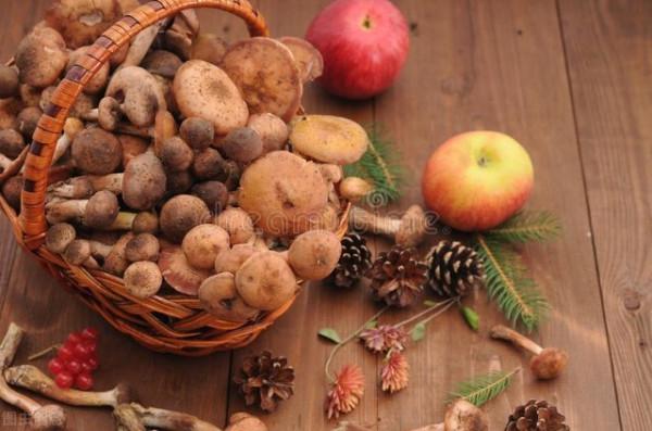 炒菜搭配蘑菇好處太多，5種蘑菇5種搭配做法，營養豐富味道美