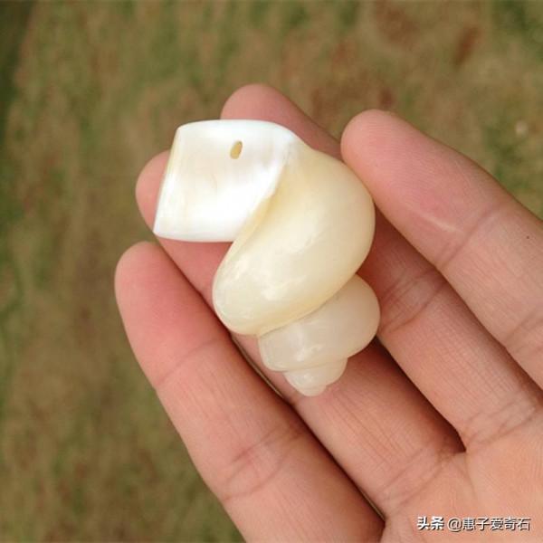 最貴的化石拍出2&period;16億，但有些&OpenCurlyDoubleQuote;化石&rdquo;並非化石