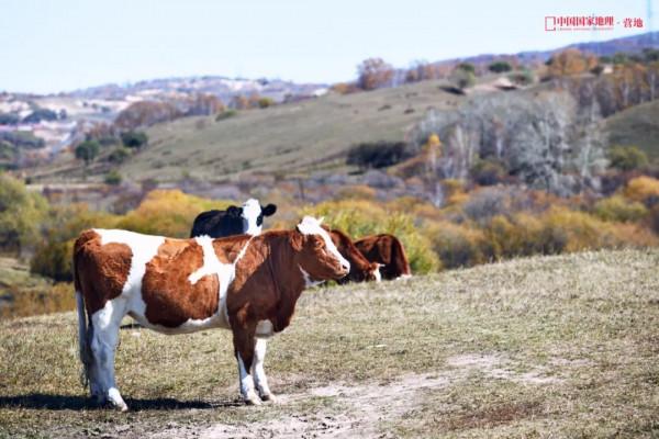 這一次,為什麼是承德? 這一次,為什麼是承德?