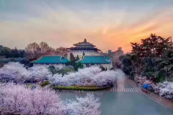 這位博導年輕有為