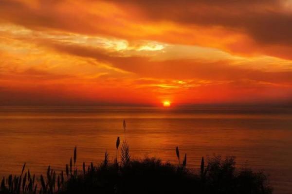 分享圖片：落日美景，令人震撼