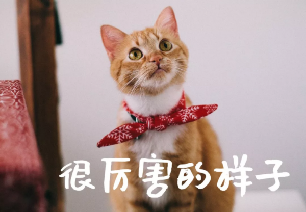 V1全自動智慧鎖只有一觸即開？太小瞧它了