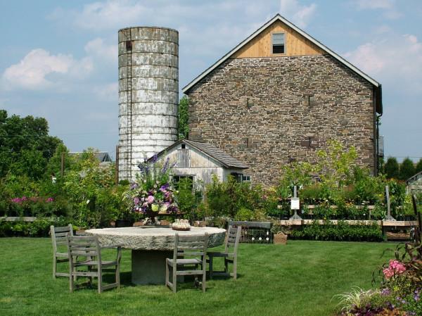 樹與一方石桌 樹與一方石桌