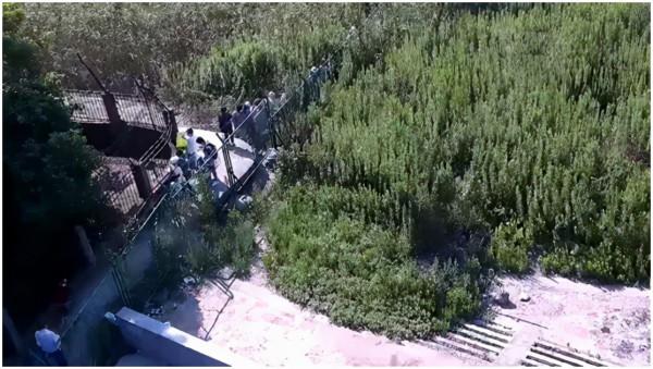 小心，別成了通敵賣國的幫兇