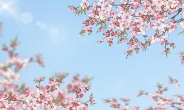 人過五十，不要太老實