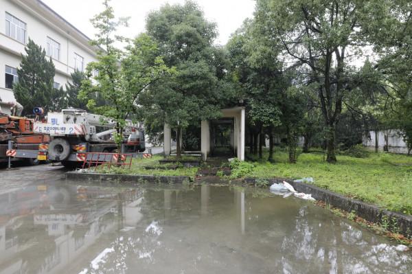 三線系列之35：湖北蒲圻紡織總廠，第3110工廠，蒲紡集團