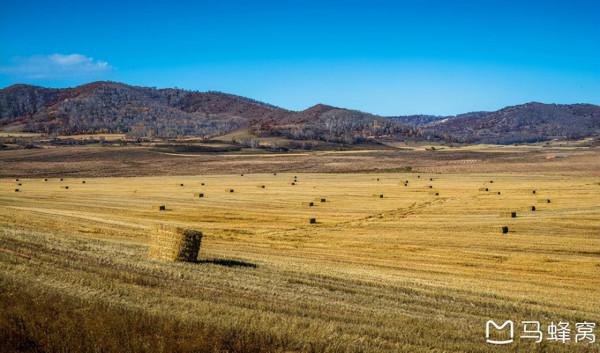 三天三季-我的烏蘭布統之旅 第三篇