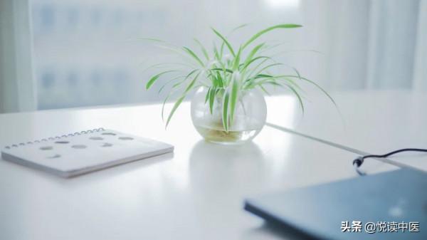 一文弄懂三焦辨證,要點全在裡面 一文弄懂三焦辨證,要點全在裡面