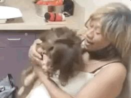 泰迪在走丟兩年後，主人竟在電視上看見找回了它，簡直就是個奇蹟