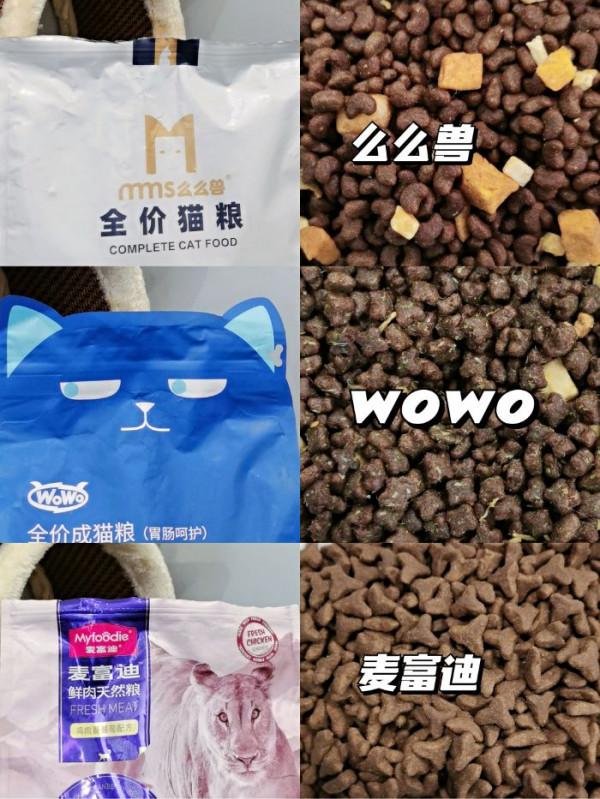 5年養貓經驗，手把手教你怎麼選貓糧