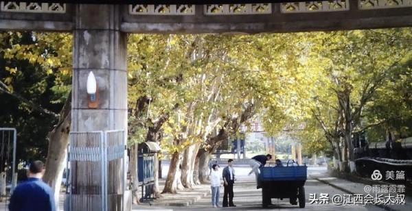 電影《你好，李煥英》和湖北化纖廠的故事