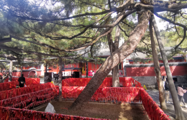 房山一寺廟竟由皇帝下旨建造!相傳是太子出家之地,還有一“絕景”→ 房山一寺廟竟由皇帝下旨建造!相傳是太子出家之地,還有一“絕景”→