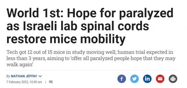 癱瘓小鼠接受人類脊髓組織移植，能重新走路了！或將治癒諸多絕症