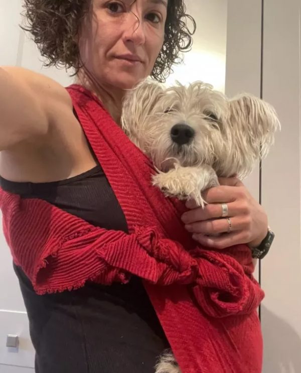 女主人養了一隻沒眼睛的狐狸，一隻沒腿總“翻車”的狗子，網友們：太可愛了吧