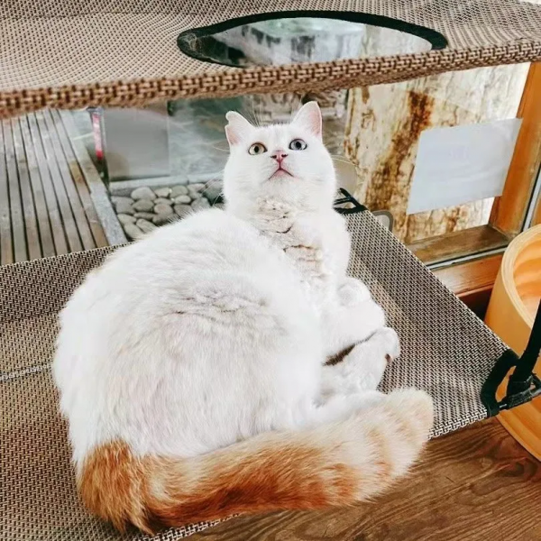 我 · 美食博主 · 觀復煎蛋