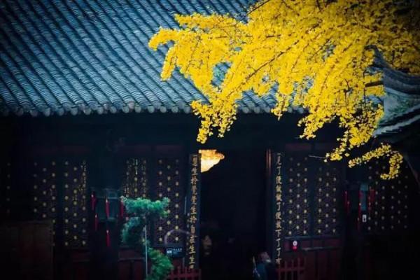 佛說:傷害過你的人,總有一天會遇到報應 佛說:傷害過你的人,總有一天會遇到報應