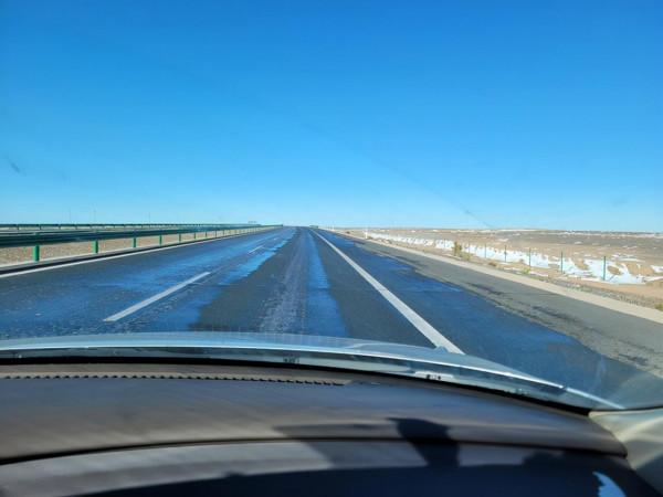 相比前面幾道景區，七道橋的胡楊反而是黃的最早