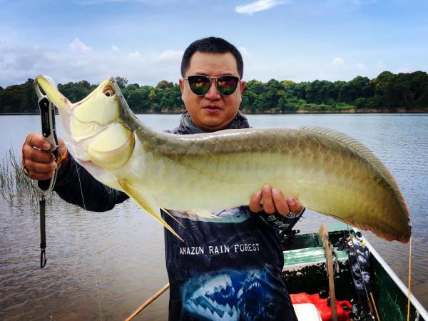 我知道食人魚沒那麼可怕，但不知道它們居然能慫到這個地步