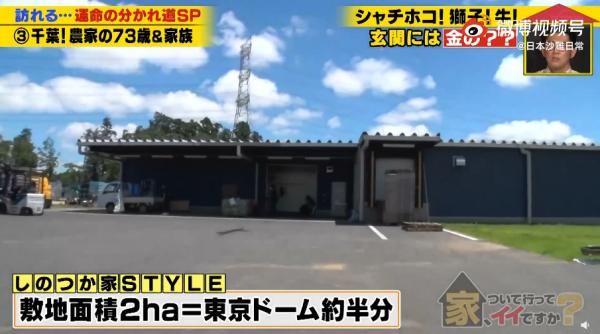 日本農民大爺花上億把家建成中國“宮殿”，買石獅子、掛紅燈籠…