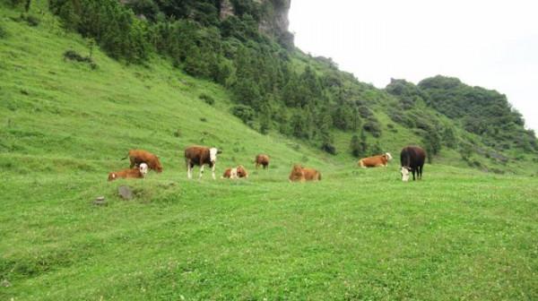 鎮雄民間故事：烏峰山劉海成仙傳說