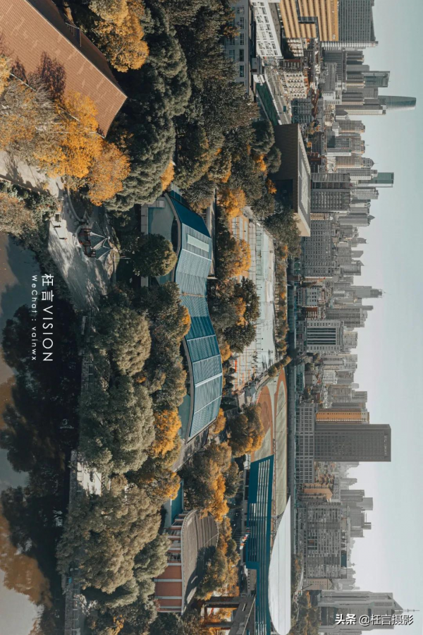 深秋在哪裡 深秋在哪裡