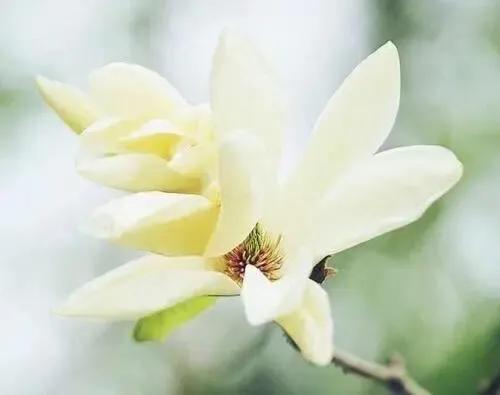 我的母親何永秀/趙程